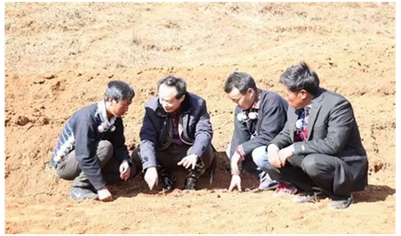 耿福能在涼山州布拖縣樂(lè)安鄉(xiāng)火燈村調(diào)研指導(dǎo)附子種植